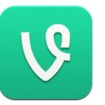 vine_logo_app_icon